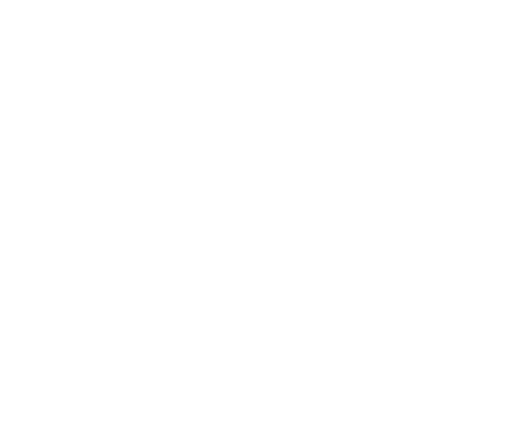 peach state logo white